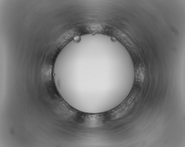 X0000115690717200911121307