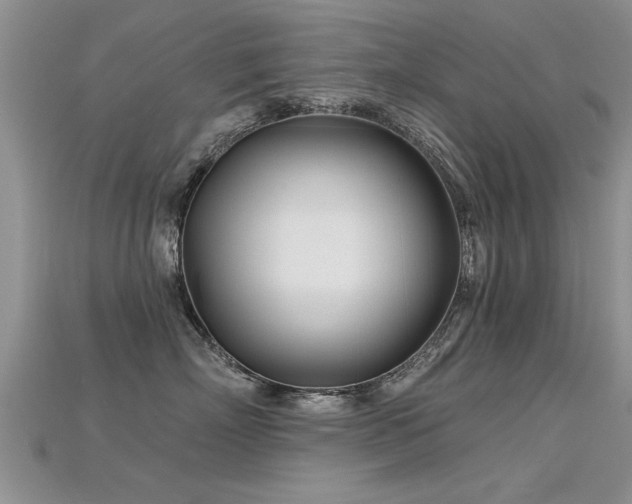 X0000115690718200911121307
