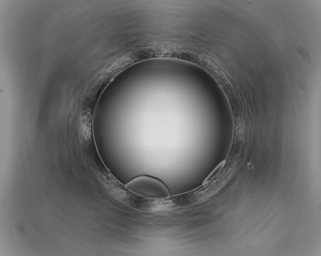 X0000115690719200911121307
