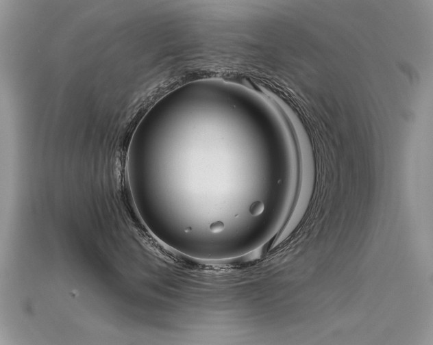 X0000115690720200911121307