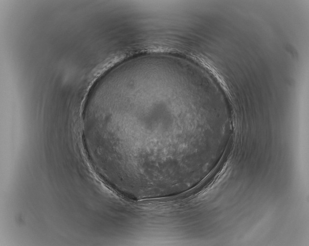 X0000115690721200911121307