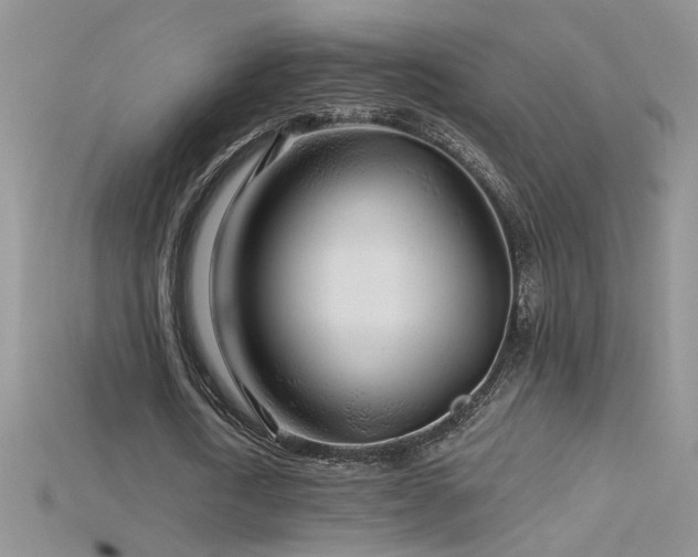 X0000115690722200911121307