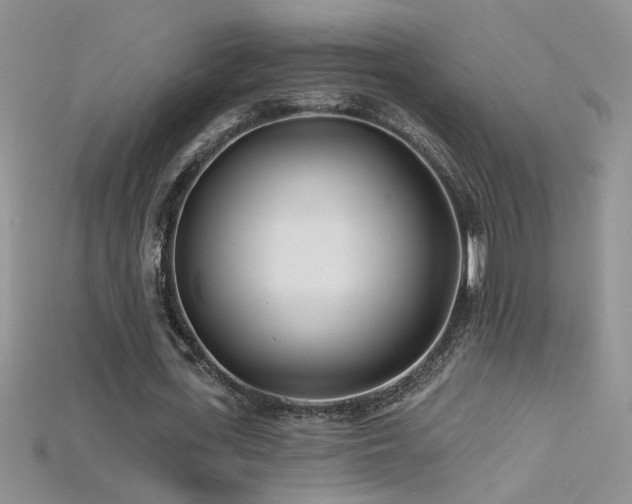 X0000115690723200911121307