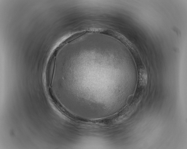X0000115690726200911121307