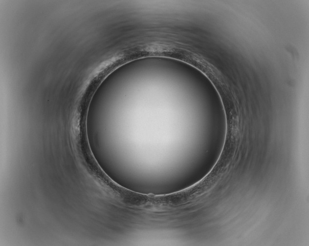 X0000115690727200911121307
