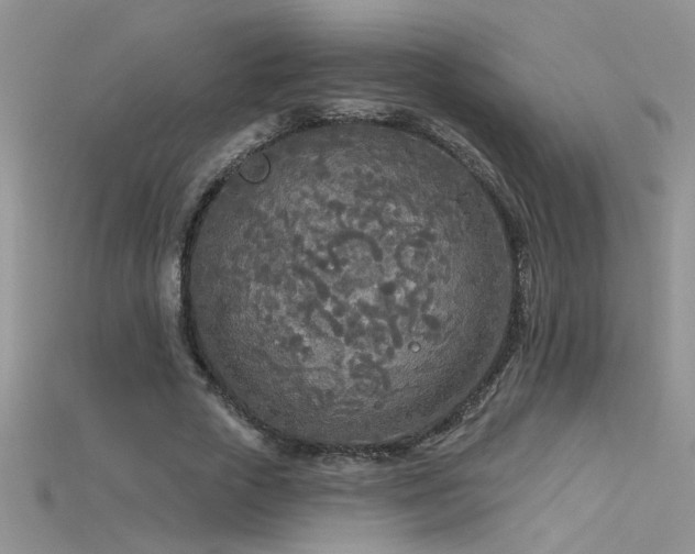 X0000115690729200911121307