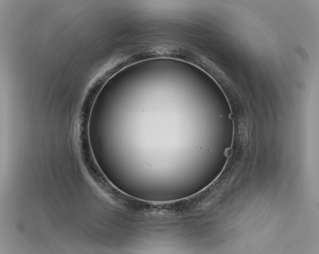 X0000115690730200911121307