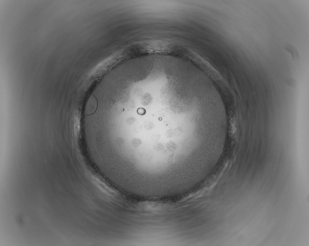 X0000115690733200911121307