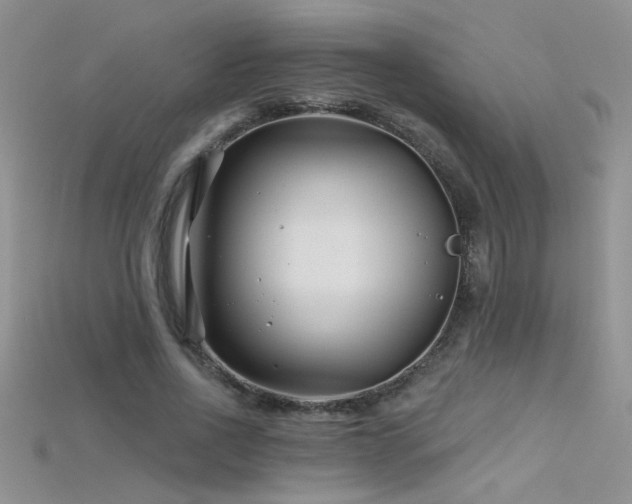 X0000115690734200911121307
