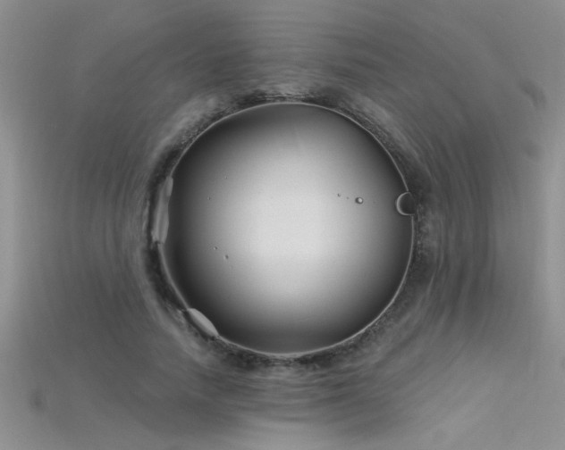 X0000115690738200911121307