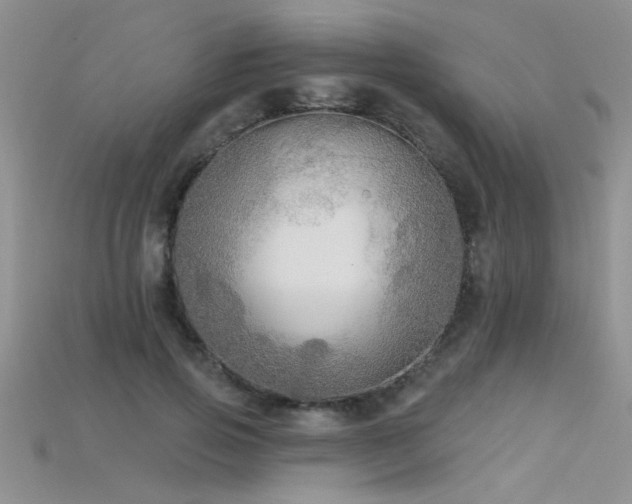 X0000115690741200911121307