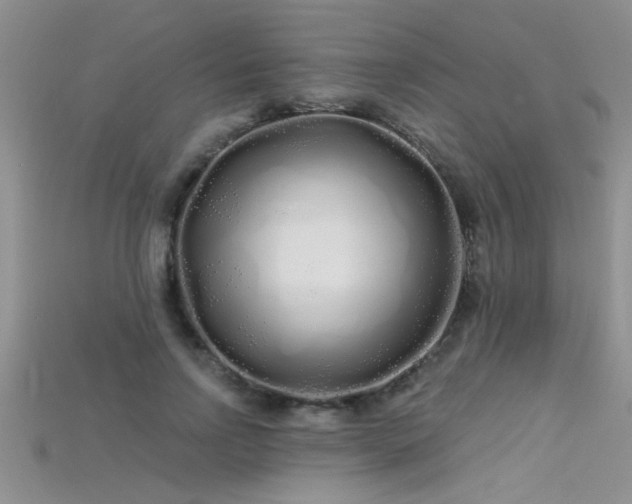 X0000115690742200911121307