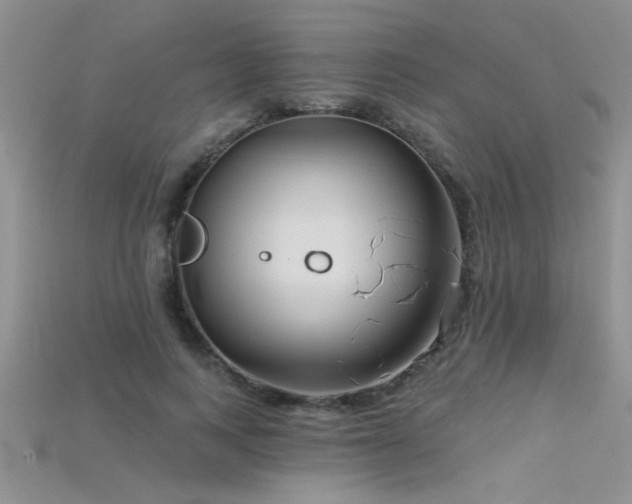 X0000115690743200911121307