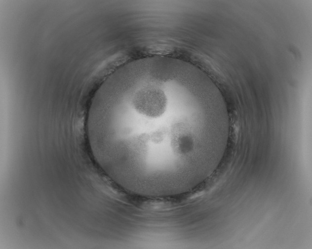 X0000115690745200911121307