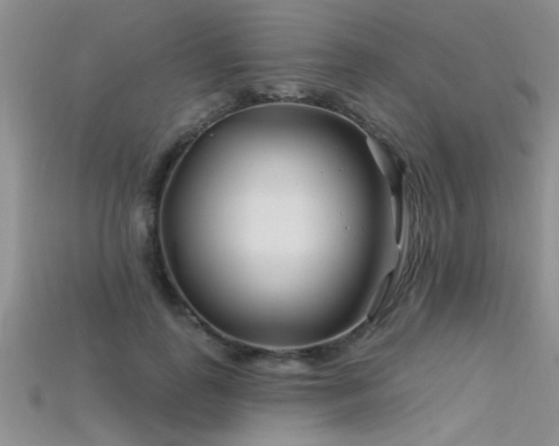 X0000115690747200911121307