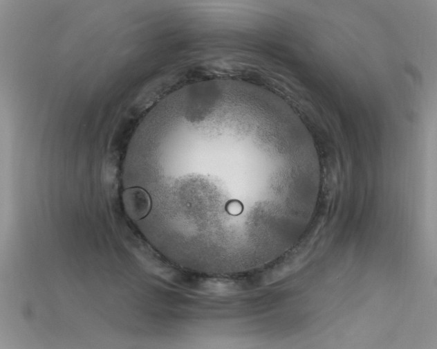 X0000115690749200911121307