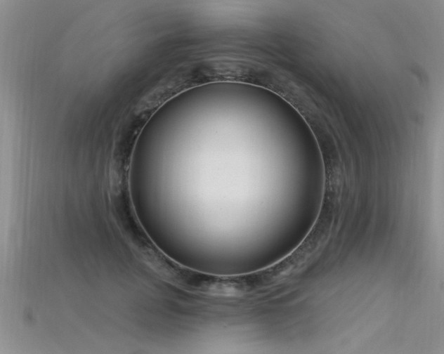 X0000115690751200911121307
