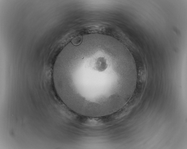 X0000115690753200911121307