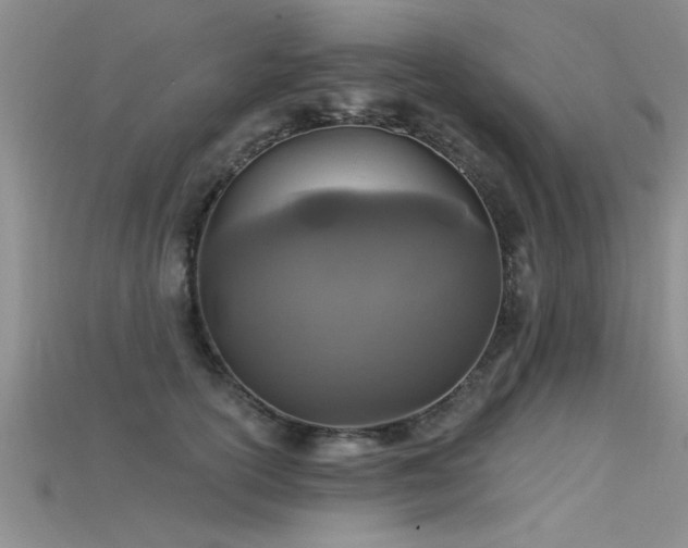 X0000115690754200911121307