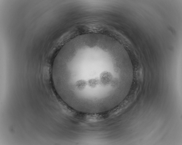X0000115690757200911121307