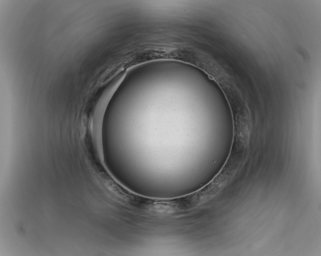 X0000115690758200911121307