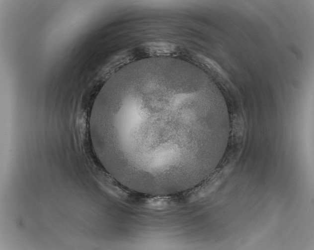 X0000115690761200911121307