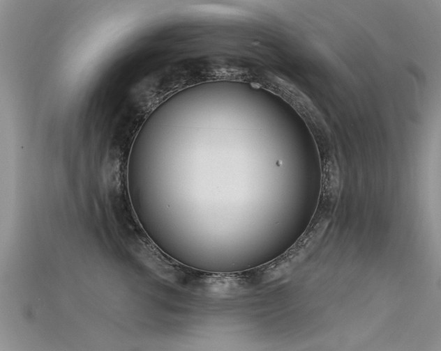 X0000115690762200911121307