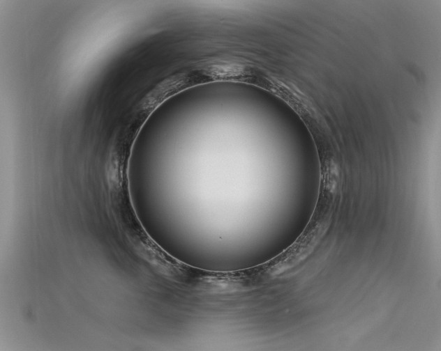 X0000115690763200911121307