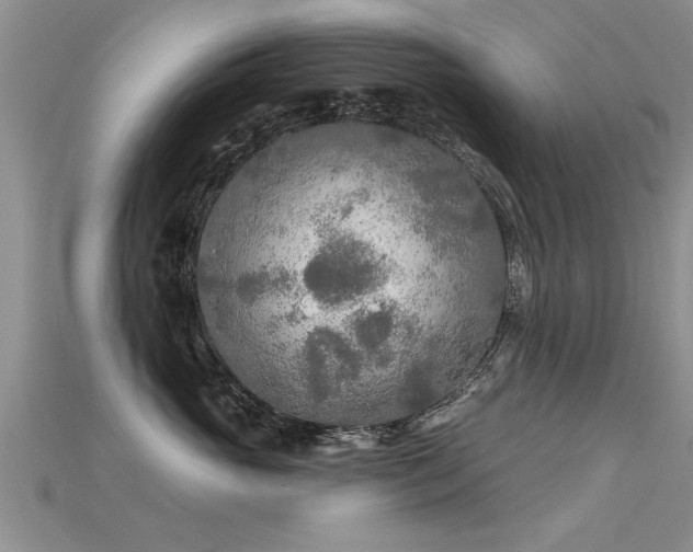 X0000115690765200911121307
