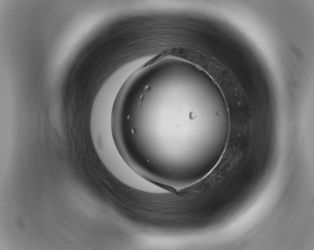 X0000115690766200911121307