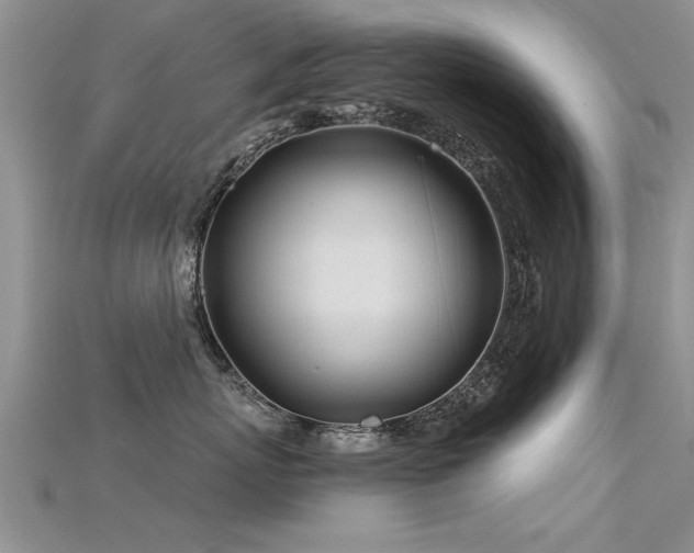 X0000115690767200911121307