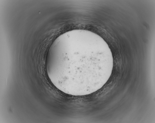 X0000115690769200911121307