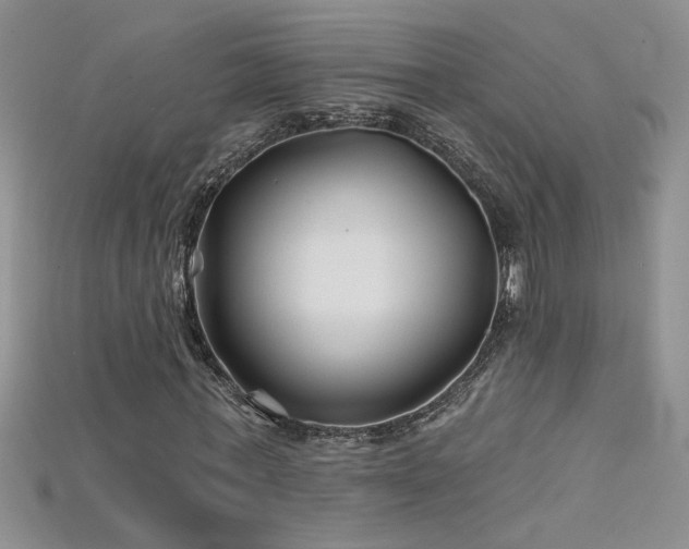 X0000115690771200911121307