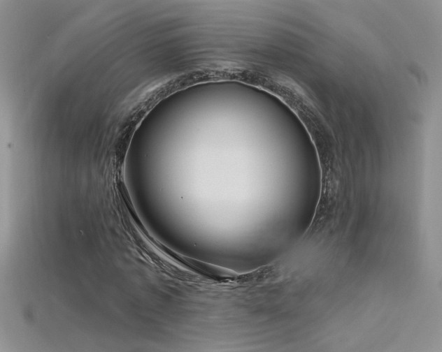 X0000115690773200911121307