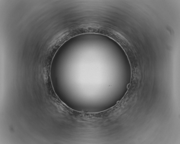 X0000115690774200911121307
