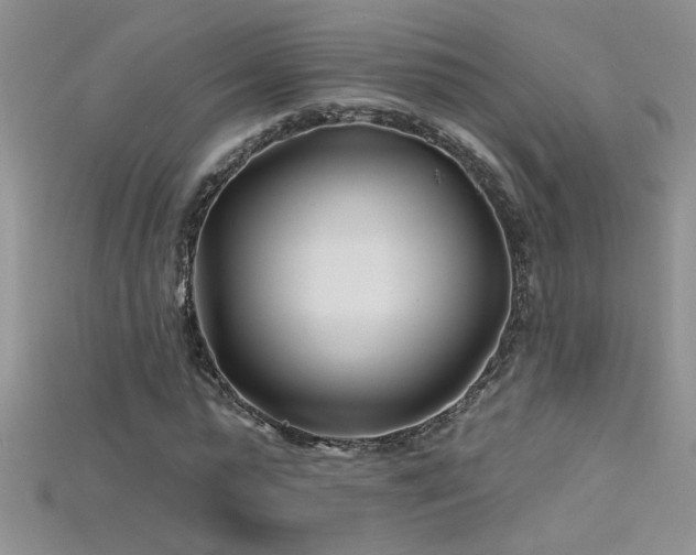 X0000115690775200911121307