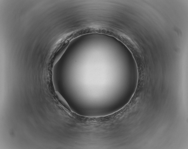 X0000115690776200911121307