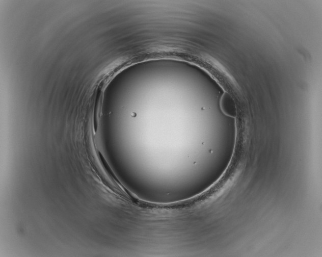 X0000115690777200911121307