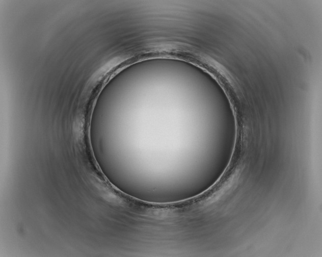 X0000115690778200911121307