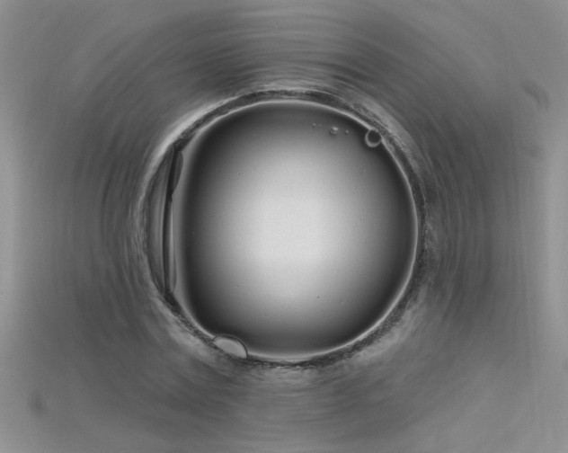 X0000115690779200911121307