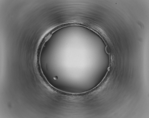 X0000115690780200911121307