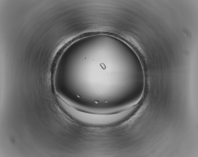 X0000115690781200911121307