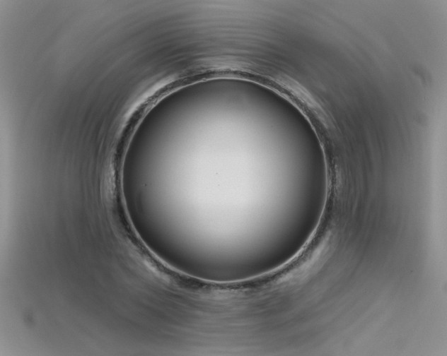 X0000115690782200911121307