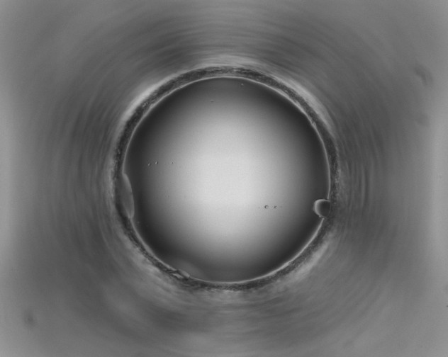 X0000115690783200911121307