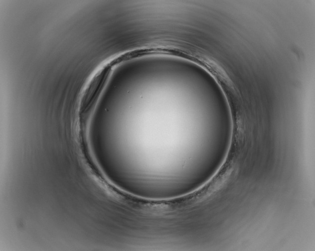X0000115690784200911121307