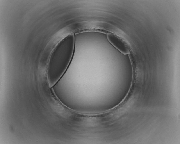 X0000115690785200911121307