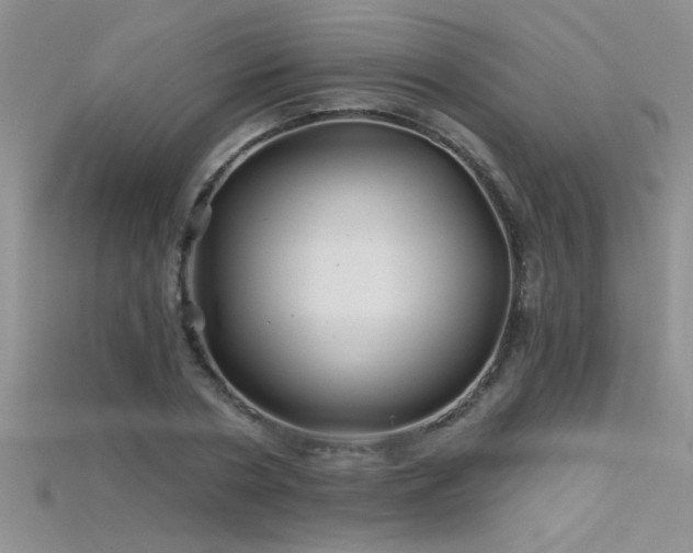 X0000115690786200911121307