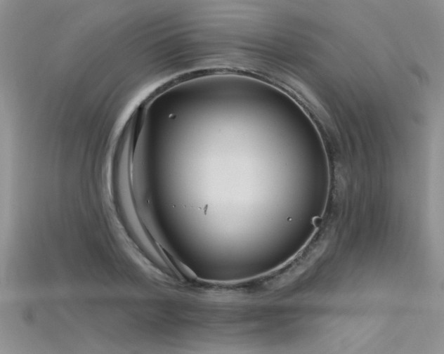 X0000115690788200911121307