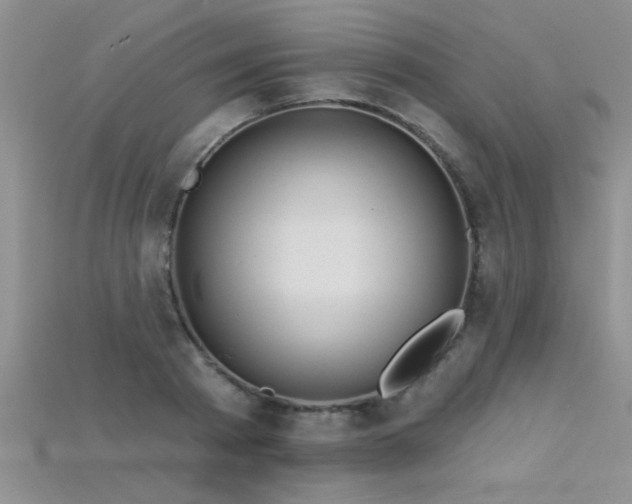 X0000115690793200911121306