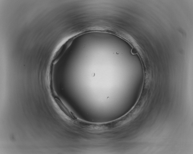 X0000115690795200911121306